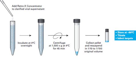 retro x concentrator protocol.